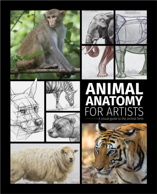 Animal Anatomy For Artists