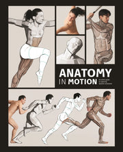 Anatomy In Motion