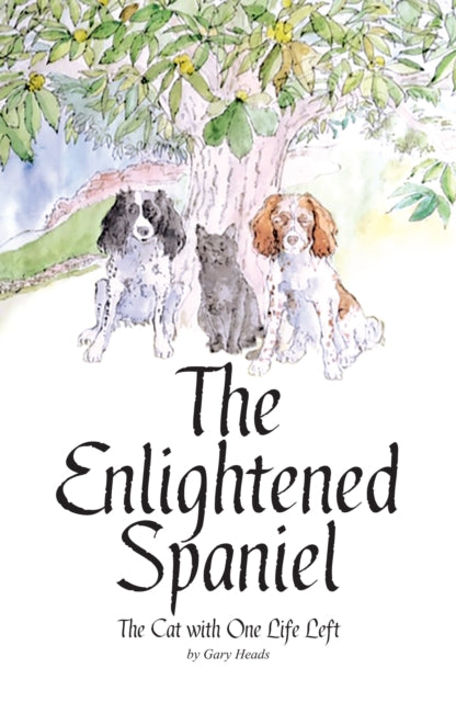 Enlightened Spaniel 2