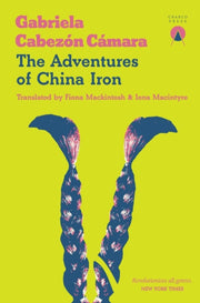 Adventures Of China Iron By Camara, Gabriela C