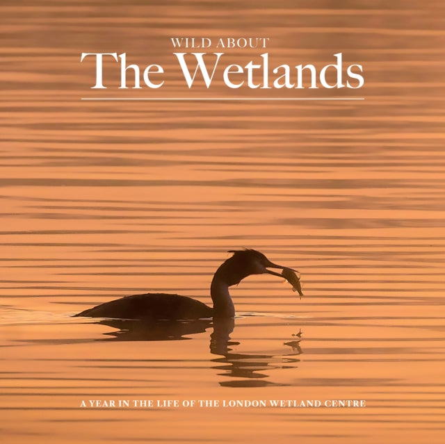Wild About The Wetlands