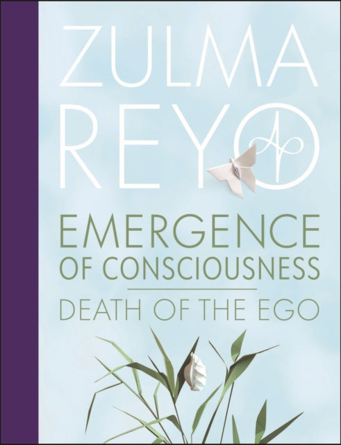 Emergence Of Conciousness