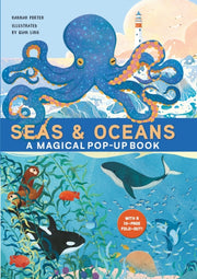Seas Oceans