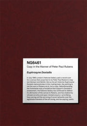Ng6461 Copy In The Manner/peter P Rubens