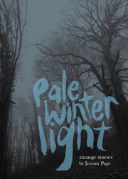 Pale Winter Night
