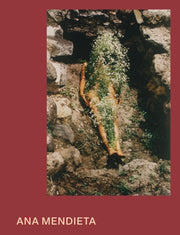 Ana Mendieta By Wellen, Michael (ed)
