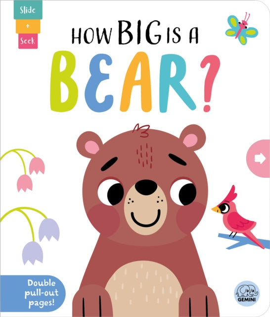 How Big Is A Bear