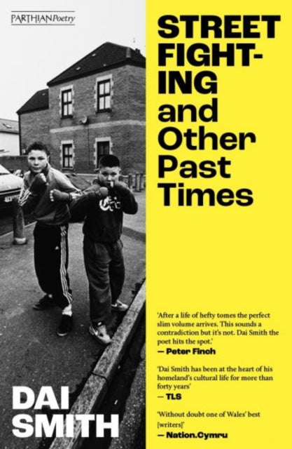 Street Fighting & Other Past Times