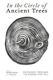 In The Circle Of Ancient Trees