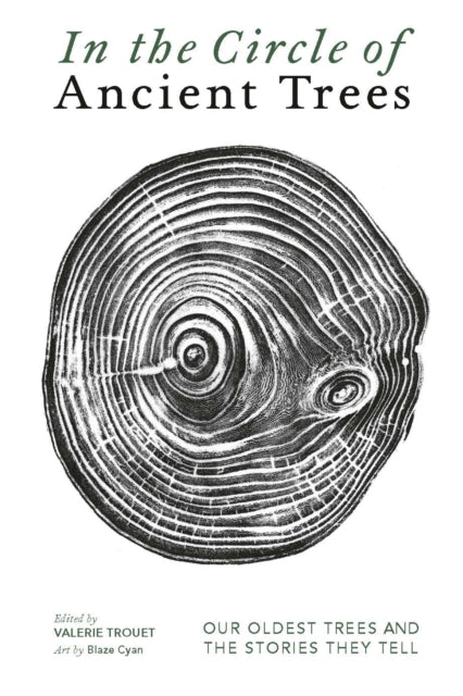 In The Circle Of Ancient Trees