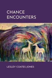 Chance Encounters