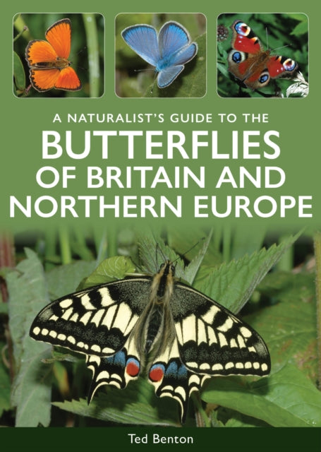 Butterflies Of Britain Northern Europe