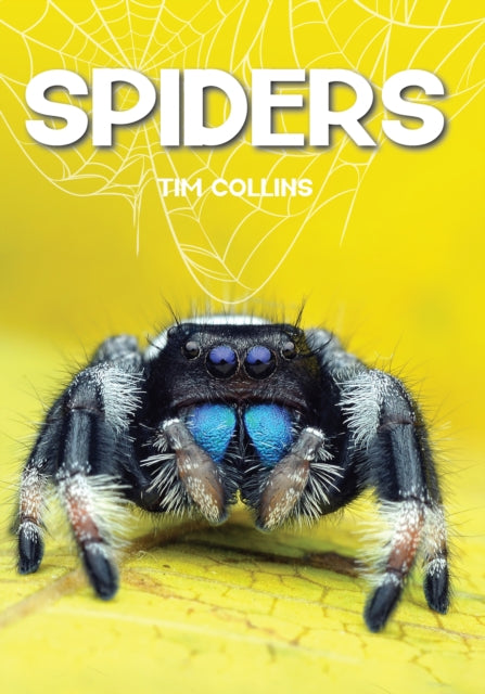 Spiders By Collins, Tom