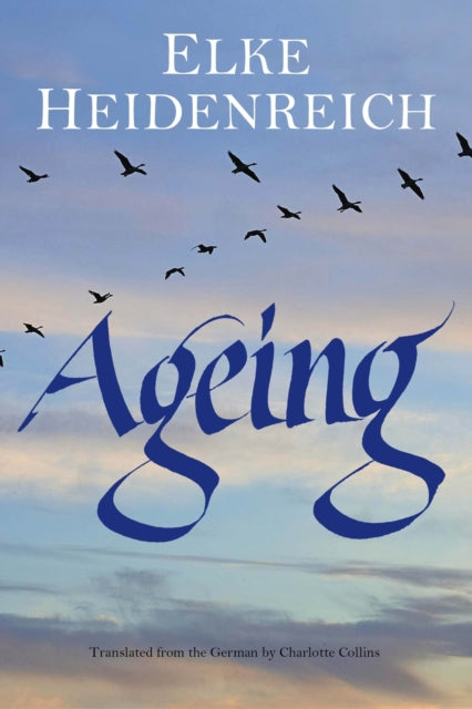 Ageing By Heidenreich, Elke