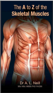 A To Z Of Skeletal Muscles The