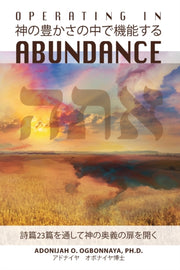 Operating In Abundance (japanese Edition