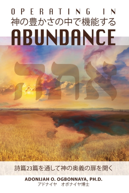 Operating In Abundance (japanese Edition