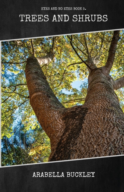 Trees And Shrubs By Buckley, Arabella