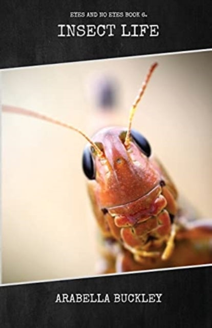 Insect Life By Buckley, Arabella