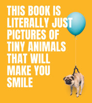 This Book Is Literally Just Pictures Of
