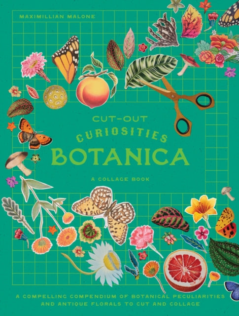 Cut Out Curiosities