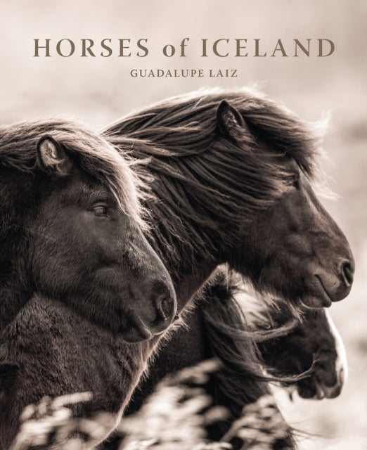 Horses Of Iceland
