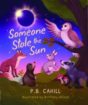 Someone Stole The Sun By Cahill, P.b.
