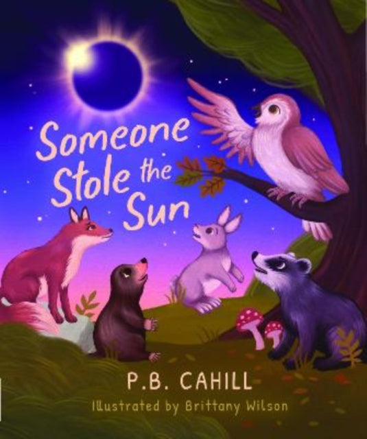 Someone Stole The Sun By Cahill, P.b.