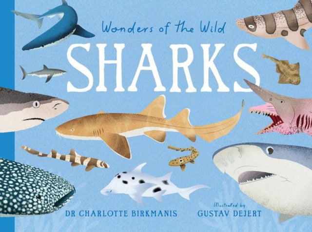 Wonders Of The Wild Sharks By Dr Charlotte Birkman
