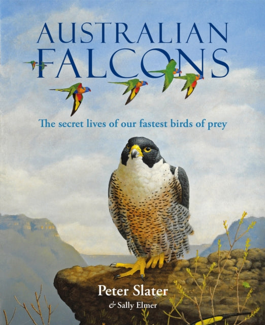 Australian Falcons Secret Lives Our Fhb By Elmer
