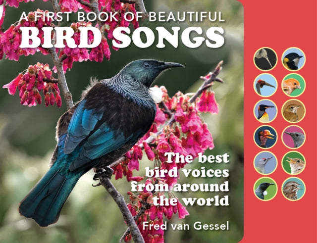 First Book Of Beautiful Bird Songs