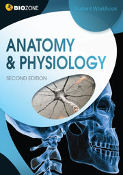 Anatomy Physiology 2nd Ed