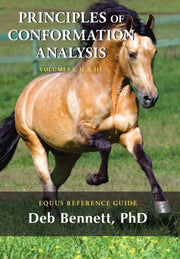 Principles Of Conformation Analysis: Equ