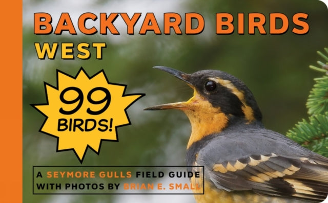 Backyard Birds West By Gulls, Seymore