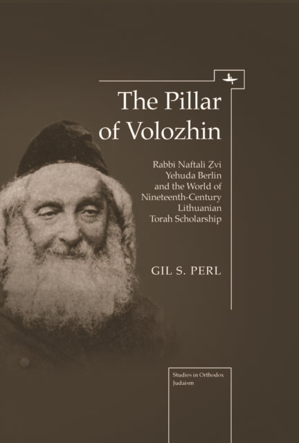 The Pillar Of Volozhin: Rabbi Naftali Zv By Perl, Gil