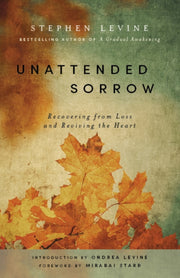 Unattended Sorrow Recovering Loss Revp By Levine  Stephen
