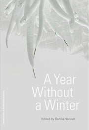 Year Without A Winter A