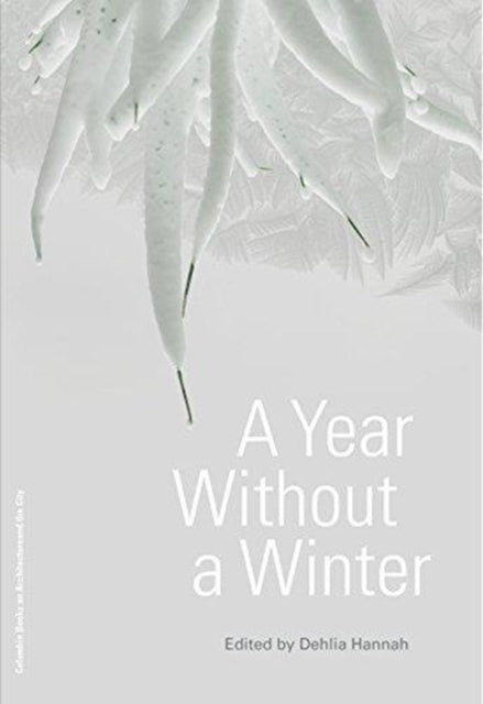 Year Without A Winter A