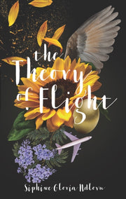 Theory Of Flight