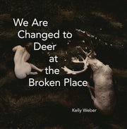 We Are Changed To Deer At The Broken Pla