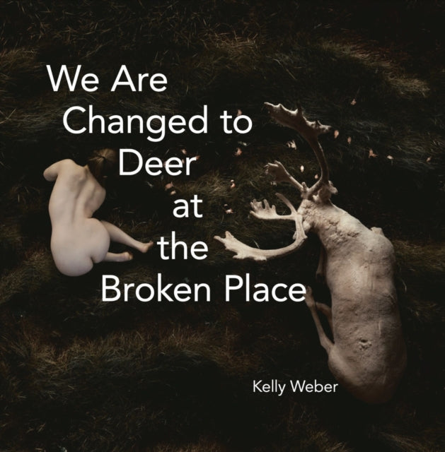 We Are Changed To Deer At The Broken Pla