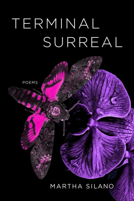 Terminal Surreal