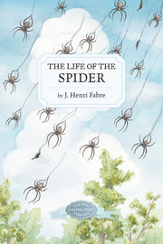Life Of The Spider By Fabre, J. Henri