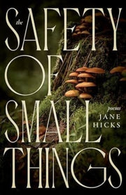 Safety Of Small Things
