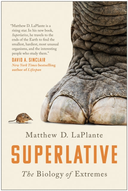 Superlative By Laplante, Matthew D.