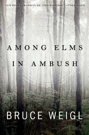 Among Elms In Ambush