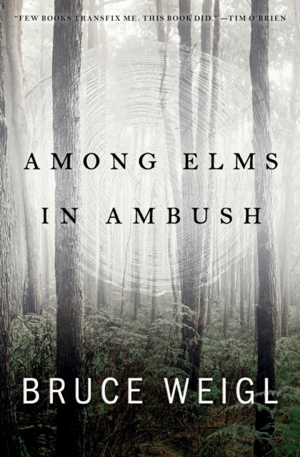 Among Elms In Ambush