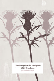Translating From The Portuguese