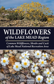 Wildflowers Of The Lake Mead Region By Chadde, Steve, W