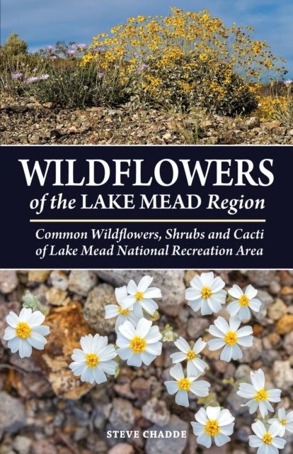 Wildflowers Of The Lake Mead Region By Chadde, Steve, W